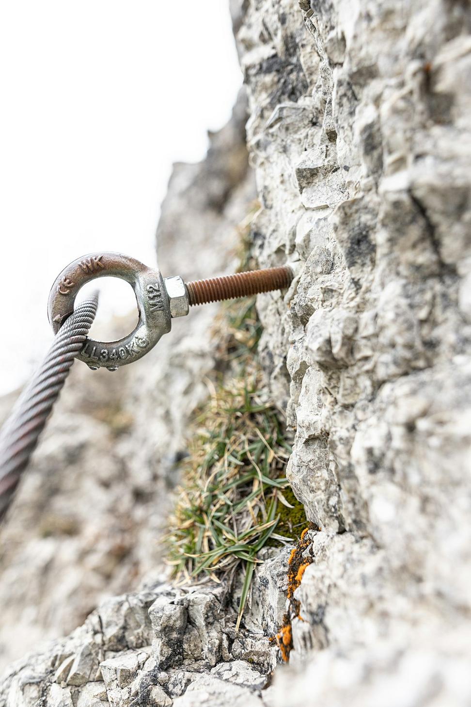 Dragon Slayer Cardio